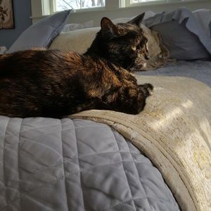 Meet your Posher, Allyson